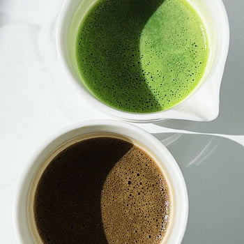 Matcha & Hojicha